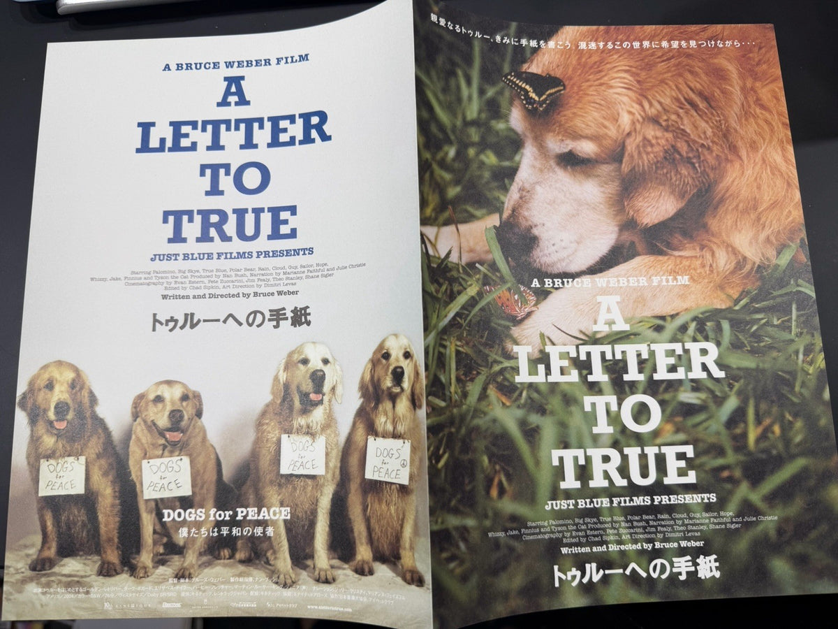 A Letter to True 2004 Bruce Weber Original Mini Movie Poster Chirashi Flyer B5 B