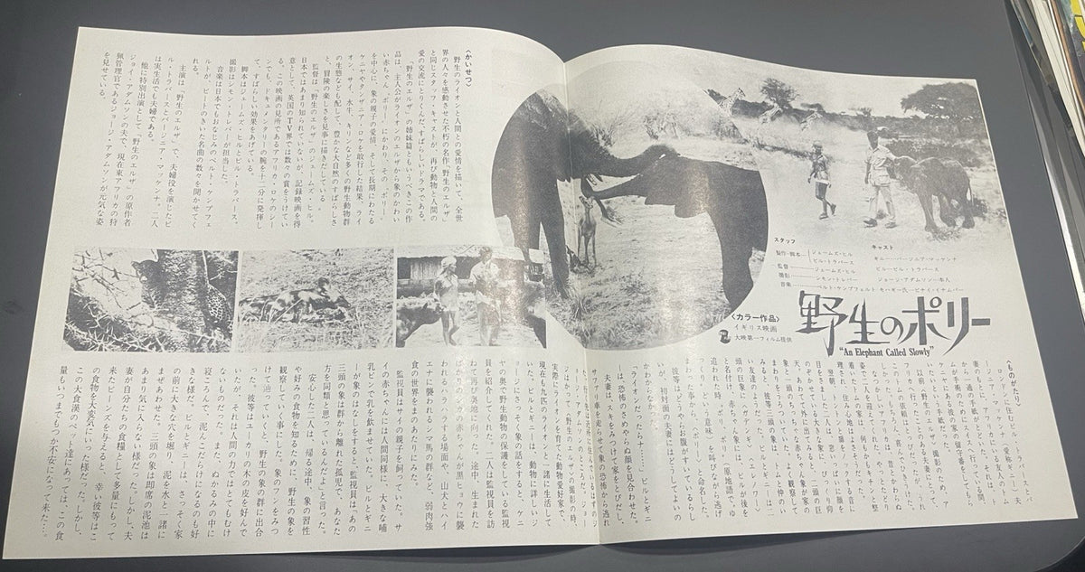 An Elephant Called Slowly '69 Japanese Fold Out Mini Movie Poster Chirashi Flyer