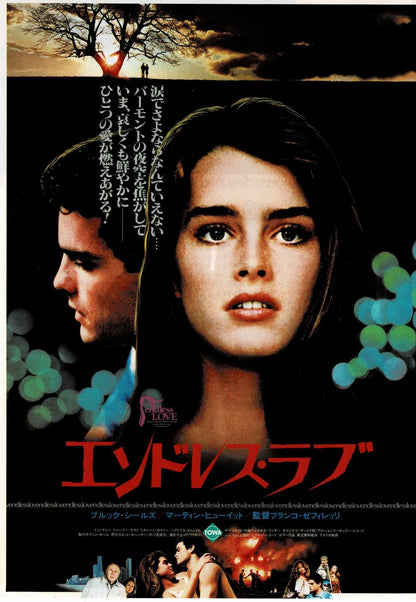 Endless Love 1981 Franco Zeffirelli Japanese Mini Movie Poster Chirashi Flyer B5