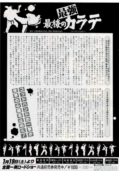 Saikyou Saigo no Karate 80 Japanese Original Mini Movie Poster Chirashi Flyer B5