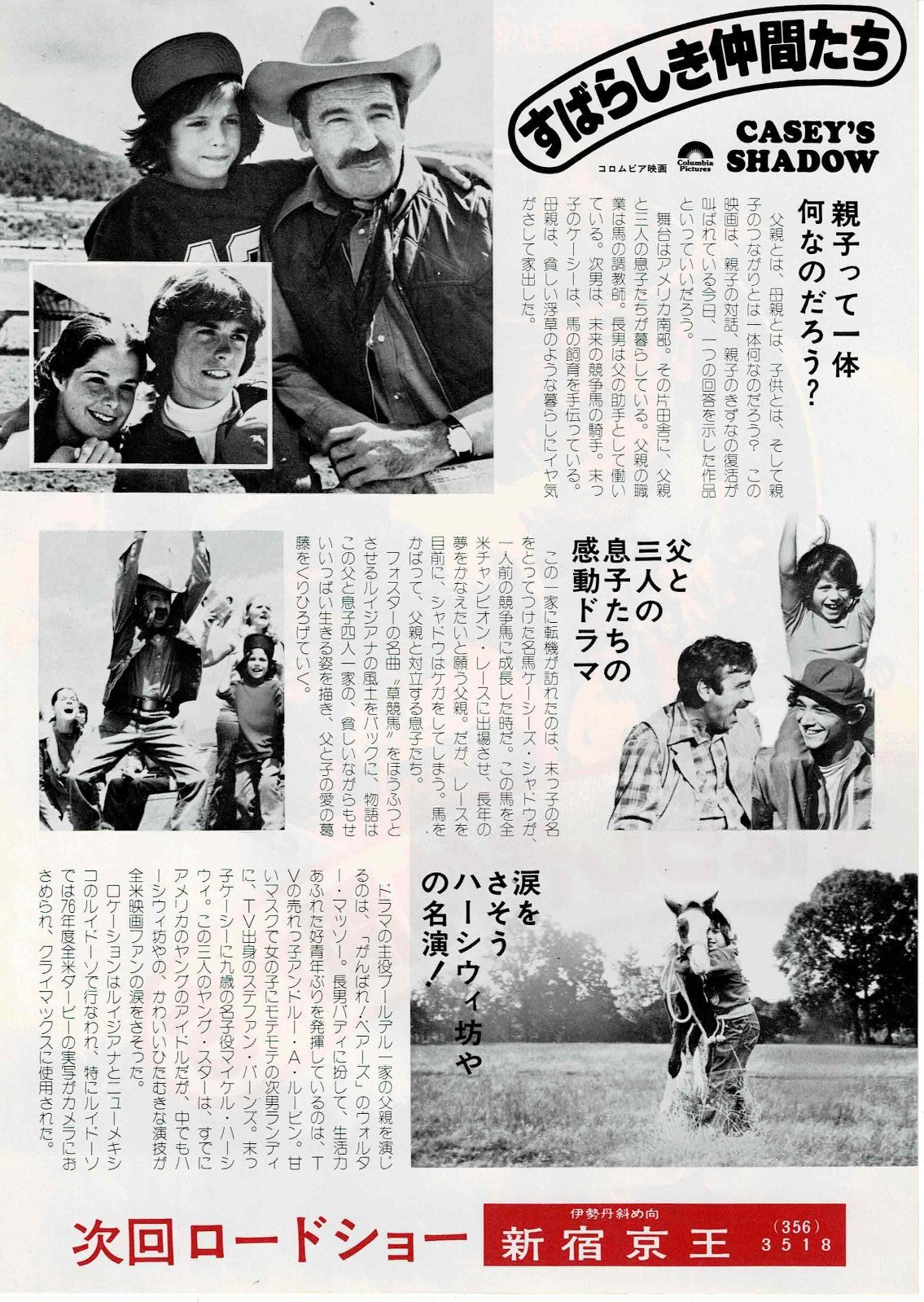 Casey's Shadow 1978 Japanese Original Mini Movie Poster Chirashi Flyer B5