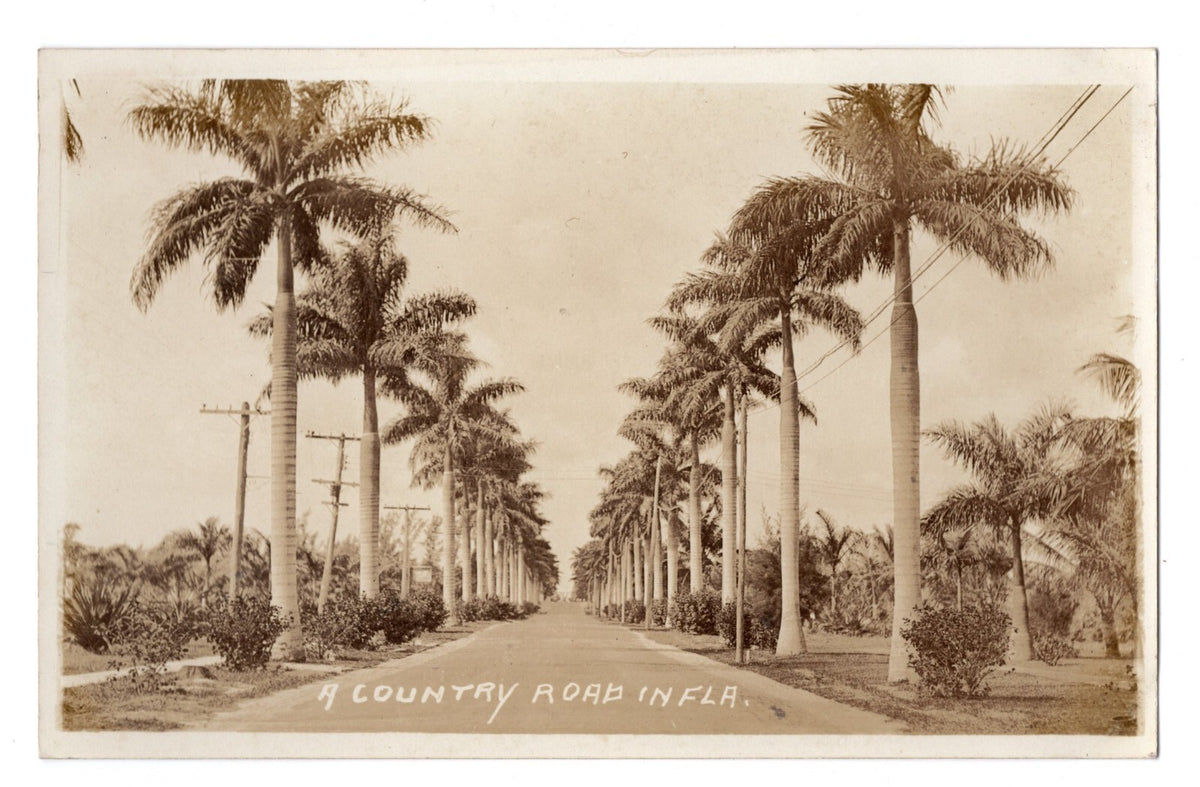 4pc Rare 1930s Miami Florida Bayfront Park Panorama Country Road Baltimore Hotel